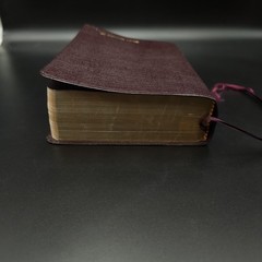 Zondervan NIV Study Bible 2008 Update 9.5″ Maroon Bonded Leather Red Letter