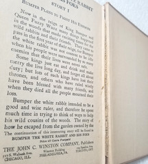 Antique 1922 BUMPER The White Rabbit by George Ethelbert Walsh HC Vtg Bit Rough