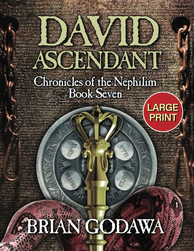 David Ascendant: LARGE PRINT – Godawa, Brian – Very Good – See condition not…