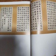 Tsujimoto Shimura Art Book 37cm x 27cm 246 Pages Limited Edition Exhibition