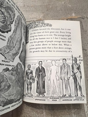Dinosaurs by Herbert S. Zim Illus. by James Gordon Irving c.1976 Library Edition
