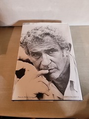 THE EXECUTIONER’S SONG by Norman Mailer/1st Ed/HCDJ/Literature/Fiction/Crime