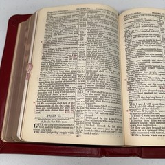 1946 Holy Bible The Good Shepherd Ed Christian Workers Indexed Illustrated EUC