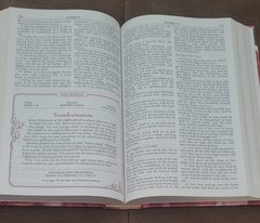 Women’s Devotional Bible Zondervan Hardcover Book Daily Devotions Faith VG