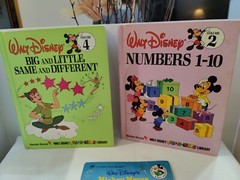 3 Disney Books Stickers And Note Pad + Various stickers Lion Picture See Picture