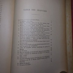 N25.4 Misery Size Humanity Primitive 1889 Illustrated Anthropology Mrs. Meunier