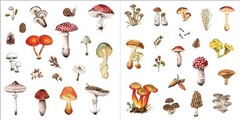 Bunches of Botanicals Sticker Book (Over 500 stickers!) – NEW
