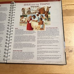 Rose Book of Bible Charts, Maps, and Time Lines: Full-Color, 10th Anniversary Ed