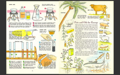 Golden Book Chemistry Experiments-Vintage Manual-Rare-Banned-Science Textbook-CD