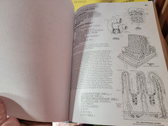 THE ANATOMY COLORING BOOK Kapit Medical Medicine Nurse Nursing Reference