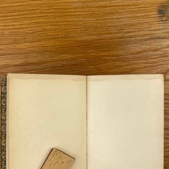 Vintage 1899 Prue And I George William Curtis Softcover Book