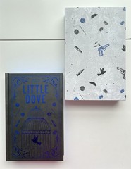 Cover-to-Cover Book Box – Little Dove by Layla Frost