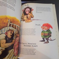 Gnomes Wil Huygen HC by Rien Poortvliet 1977 Harry N Abrams