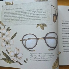 Folklore Field Guides: A Natural History of Fairies by Emily Hawkins