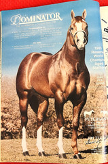 SALE ENDS 6/15! 1986 QUARTER HORSE JOURNAL Book – DYNAMIC DELUXE, ZAN PARR BAR