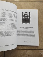 THE SHADOW WORK JOURNAL Guide Integrate & Transcend Your Shadows Self Help Book