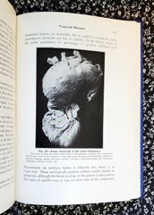 Microbiology Pathology And Nursing Eugene C. Piette, 1940, HC