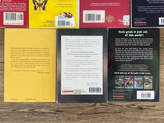 BOYS Chapter Books Lot of 11 ~ 8-12 Years Old – Classroom Library Homeschool