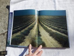 PROVENCE FRANCE Photo Book GERMAN Harald Mertes Bonhage Hans-Joachim Photography