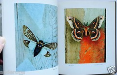 2008 THEATER of INSECTS Jo Whaley hb/128pp/ART – BUTTERFLIES – INSECTS – UNIQUE