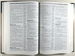 KJV Prophecy Study Bible Hardcover Tim LaHaye AMG Publishers Red Letter Like New