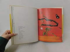 Vintage Tiger Flower by Robert Vavra Illust. Fleur Cowles HB 1968