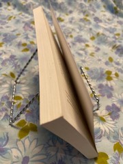 BOOK John Calvin Pilgrim and Pastor W ROBERT GODFREY paperback Pb 2009 Crossway
