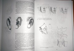 Николай Ли/Nikolay Lee The Human Head. Fundamentals of Academic Drawing/In Rus