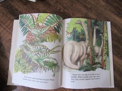 Lot of 22 Discovering Dinosaurs Books By Janet Riehecky Childs World Hardcover
