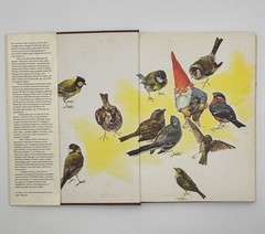 GNOMES Wil Huygen Illustrated HC 1977 Hard Cover With Dust Jacket