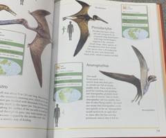 Complete Guide to Dinosaurs by Chris McNab – Hardcover – Velika Enciklopedija