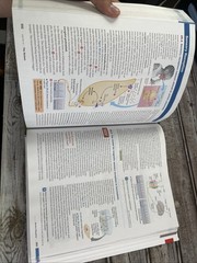 Campbell Biology: Concepts & Connections [RENTAL EDITION] (10th Edition) – VG