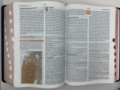 BIBLIA DE ESTUDIO TEOLOGICO TAPA DURA CON INDEX REINA VALERA 1960