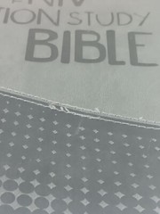 The NIV Action Study Bible – Premium Edition by Sergio Cariello / David C. Cook