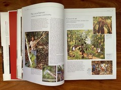 The Chocolate Bible Hardcover The Definitive Sourcebook With 600+ Illustrations