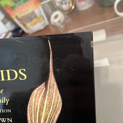 Aroids : Plants of the Arum Family by Deni Bown (2000, Hardcover)