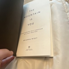 THE MOUNTAIN IS YOU BY BRIANNA WIEST