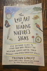 The Lost Art of Reading Nature’s Signs: Use Outdoor Clues to Find Your Way…