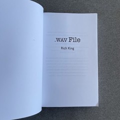 Wav File Paperback – February 2, 2021 by Rich King