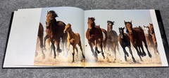 Flach Equus (Hachette/International Edition)