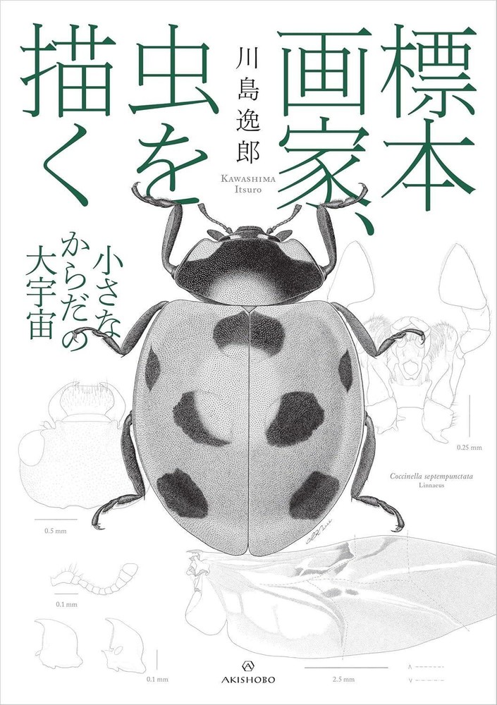 Book The Specimen Painter: Drawing Insects – The Great Universe of… Japanese