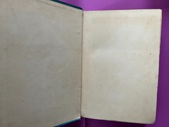 THE BLUE ROSE FAIRY BOOK by Maurice Baring, 1911, First Edition, illustraed RARE