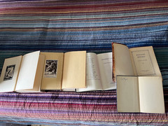 lot of vintage Chaucer, Tolstoy, Flaubert, Hardy hardcover books