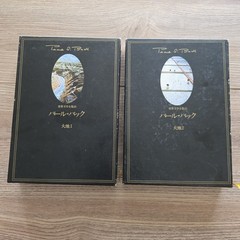 Pearl Buck 大地 The Good Earth Vol 1-2 Japanese HC Slipcase Set 1977 Complete VTG