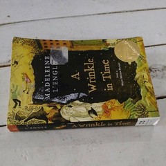 A Wrinkle in Time Madeleine L’Engle 2007 A Wrinkle in Time Quintet