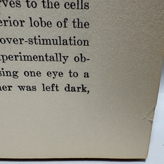 Brain and Personality by W. Hanna Thomson, 1916 Dodd, Mead & Company