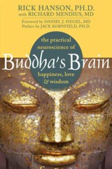 Buddha’s Brain: The Practical Neuroscience of Happiness, Love – VERY GOOD