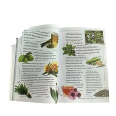 Sustain Me Book by Barbara O’Neill Natural Health Diet Healing Guide