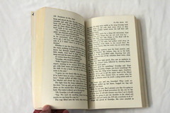 Promises in the Attic by Elisabeth Hamilton Friermood (1975, PB)