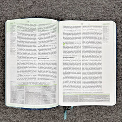 Christian Standard CSB Disciple’s Study Bible Navy/Mist LeatherTouch Holman HTF
